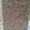 Cashew Nut (LP) 10 Kg Bag